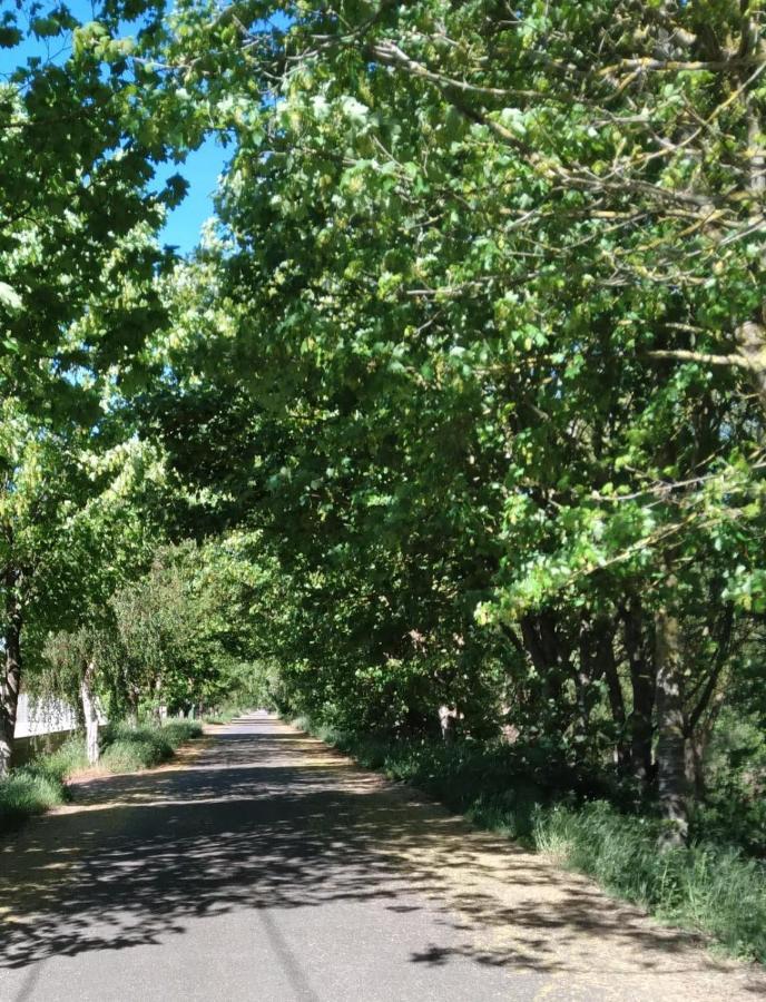 Atico Rosita En Camino De Santiago Daire Xinzo de Limia Dış mekan fotoğraf